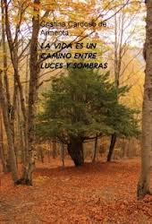 índice