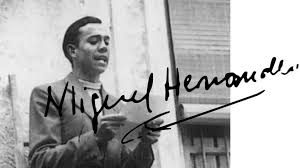 MIGUEL HERNÁNDEZ, A PLENA LUZ