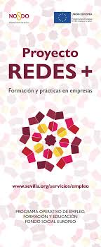 PROYECTO REDES+