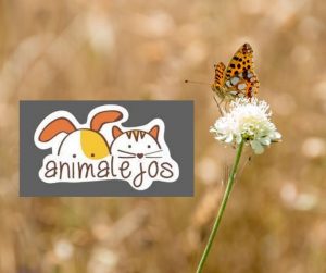 INCIDENCIA HORARIO BIBLIOTECA – CUENTACUENTOS ANIMALEJOS