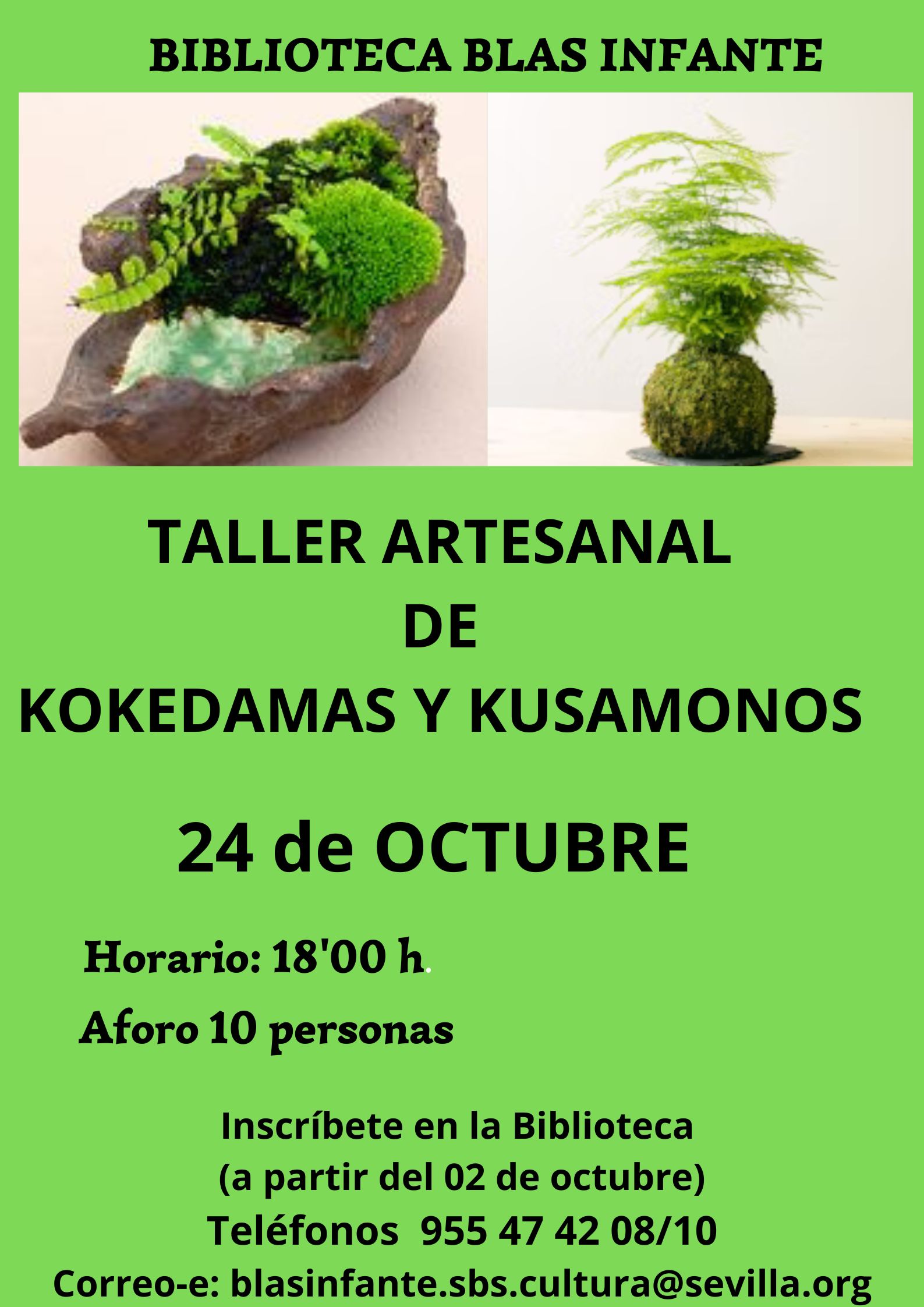 TALLER ARTESANAL DE KOKEDAMAS Y KUSAMONOS