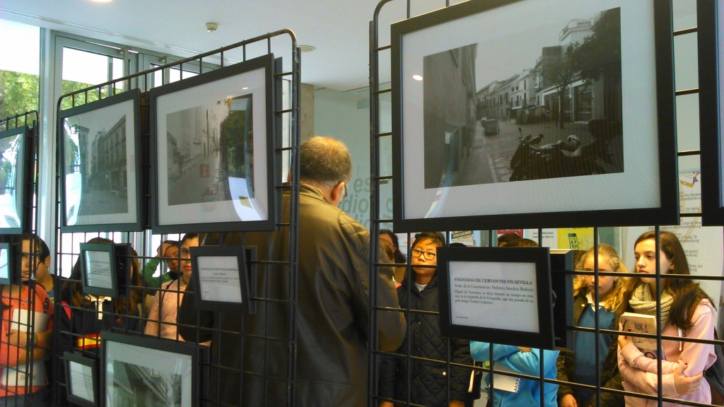 dsc_0005