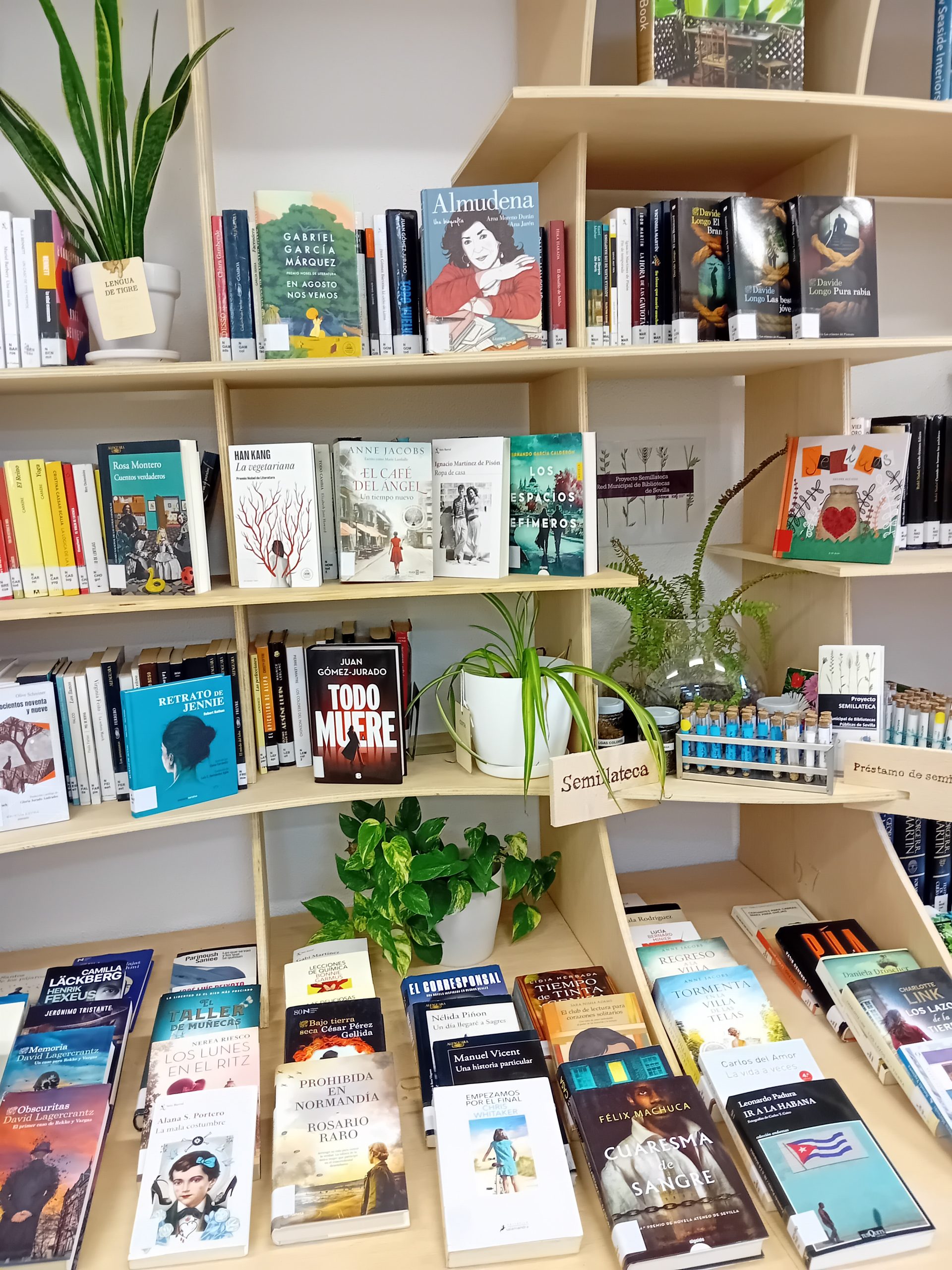 NOVEDADES¡¡¡ NOVEDADES¡¡¡