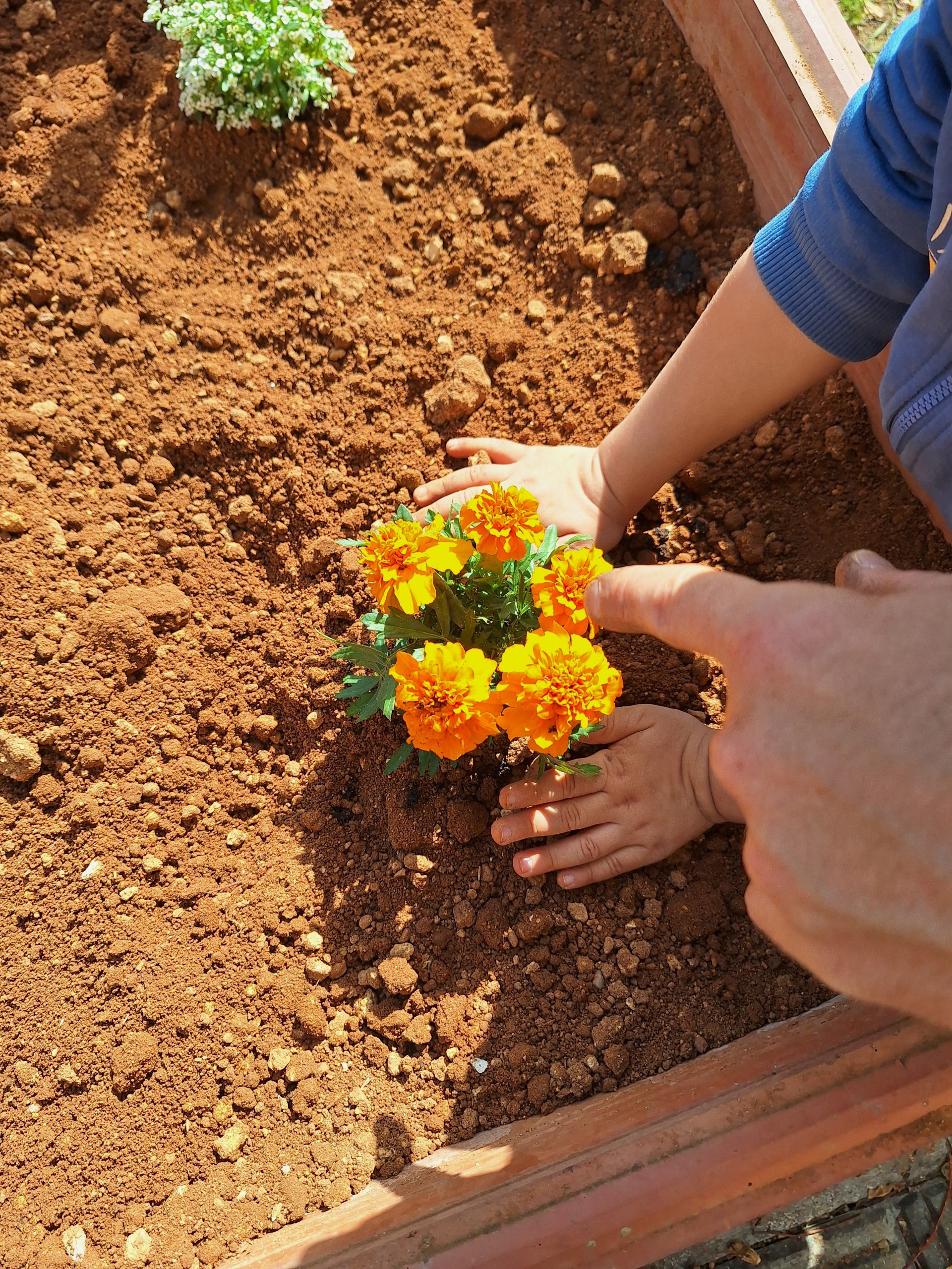 PRIMAVERA. HUERTO URBANO ECOLÓGICO