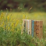books-field-grass-green-plants-summer-nature-reading-mood