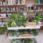 INTERCAMBIO DE ESQUEJES