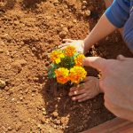 PRIMAVERA. HUERTO URBANO ECOLÓGICO