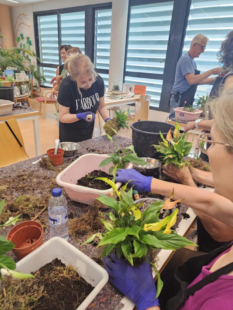 Taller de Kokedamas para el Día de la Diversidad Biológica
