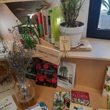 imagen miniatura de la biblioteca