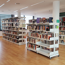 imagen miniatura de la biblioteca